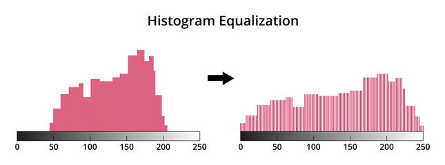 Vector illustration of histogram equalization isolated on white. A method in raster image processing of contrast adjustment. Increasing the global contrast of one or many photos, images. Image editing - obrazy, fototapety, plakaty