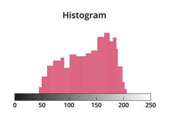 Vector illustration of random editable photo histogram created from thin lines. Histogram graph or chart icon. Histogram symbol is isolated on a white background. Exposure, underexposure, overexposure - obrazy, fototapety, plakaty