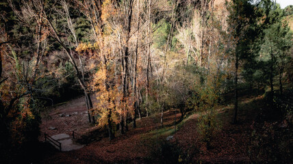 Differents landscapes in the mountains of Castellón (Valencia, Spain),  with a moody styles, and wonderful autumnal colours.