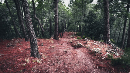 Differents landscapes in the mountains of Castellón (Valencia, Spain),  with a moody styles, and wonderful autumnal colours.
