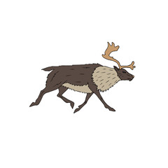 Vector hand drawn doodle sketch colored reindeer isolated on white background