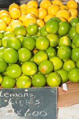 top, front view of a pile of ripe, ,local, freshly picked lemons and limes on display and for sale at a tropical farmers market