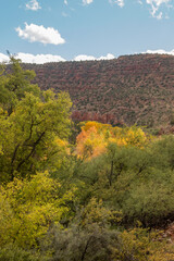 Scenic Verde River Canyon Arizona Landscape in Autumn