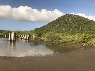 bridge over the river