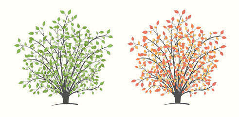 Bush plants in two versions, summer with green and autumn with red leaves