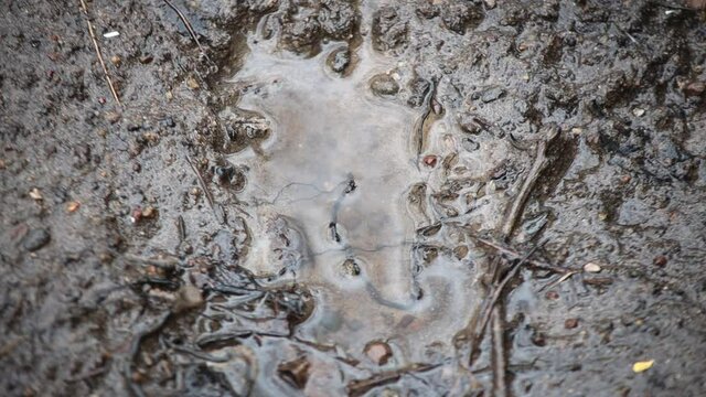 Close up of water dripping outdoors into a small mud puddle and splashing

