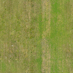texture of green grass on the lawn, seamless