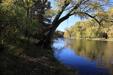 rope swing on a river with trees reflecting in water