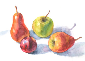 An apple, pear and plum lit by the sun on a white background are painted in watercolor on white paper. Fruit drawing