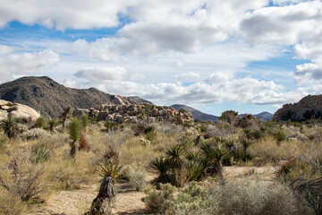 Rock formations in Joshua Tree