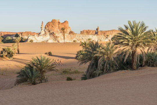 Oasis in the Sahara desert, Chad, Africa