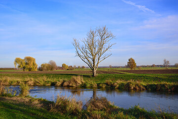 River landscape with trees and bushes in autumn, against a blue sky