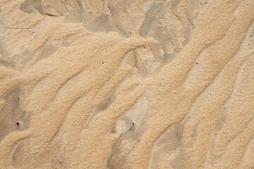 Dunas do Siriú- Garopaba - Santa Catarina - Brasil