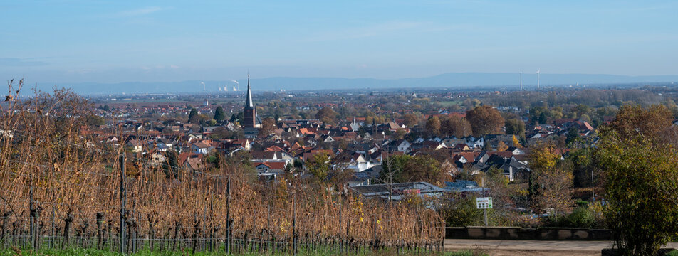 &Uuml;ber den D&auml;chern von Deidesheim