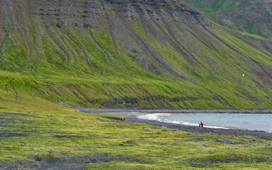 Steep mountain slopes with green vegetation and narrow coastal road along the shoreline in...