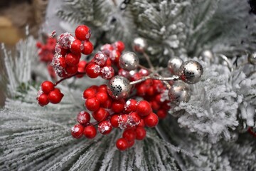 red berries on a snow. Christmas decorations 