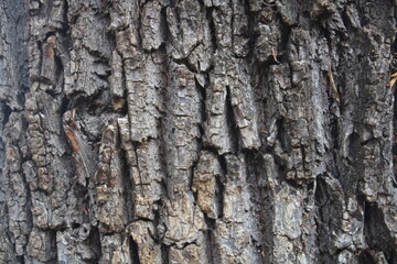 texture