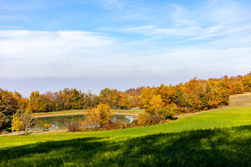 Paesaggio autunnale con un prato verde e alberi coloratissimi durante l'autunno