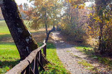Un sentiero nel bosco durante l'autunno, con colori accesi e caldi