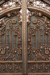 Part of a beautiful wrought iron gate with decorative elements