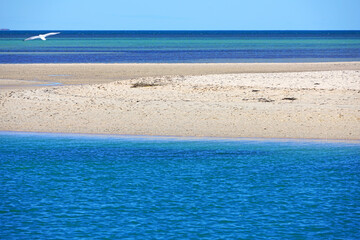 View of the beach in Monkey Mia, Shark Bay, and Francois Peron National Park on the Indian Ocean, Western Australia