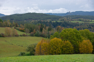 View to valley from Vatetice, Sumava national park, Czech republic