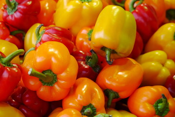 色とりどりのパプリカ