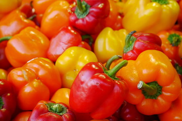 色とりどりのパプリカ