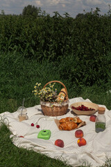 Picnic outside on a sunny day. Picnic basket 