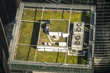 A green roof atop a new skyscraper