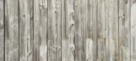 Perfectly wooden background with weathered wood and ruusty nails