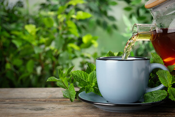 Pouring fresh mint tea into cup on wooden table, closeup. Space for text