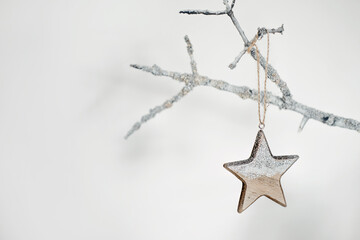 Sustainable, zero waste Christmas natural decoration with white tree branch in macrame vase and...