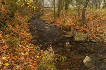 Olsovy creek near Petrovice village in Krusne mountains in autumn morning