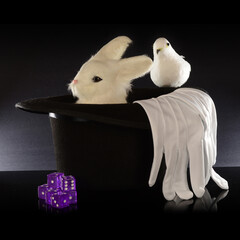 Magicians Top Hat