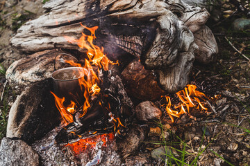 Kettle stands on fire. Cooking food at fire in wild. Beautiful big log burns in bonfire close-up. Survival in wild nature. Wonderful flame with caldron. Pot is on flames. Campfire background.