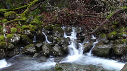 waterfall in the forest