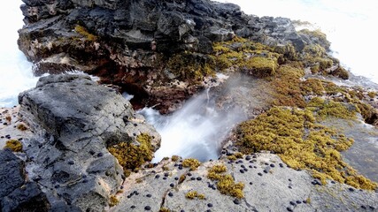 spouting horn