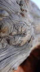 old wood texture