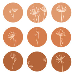 Dried flowers in circles highlight cover icon, natural warm colors. Vector illustration for web design, social media, Insta story.