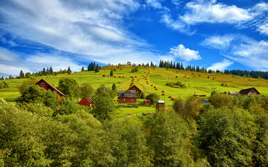 Naklejka premium Summer landscape, rural houses on the slope of green mountains, against the background of a blue sky with clouds, trees and fir trees