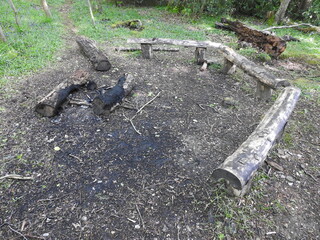 A place to make a fire in the forest