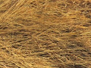straw bale background