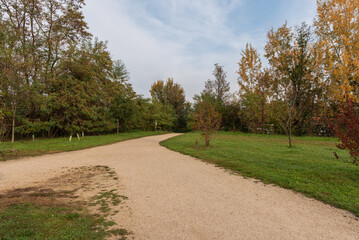 Fototapeta na wymiar City park on an autumn morning