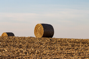 round hay bale in the field