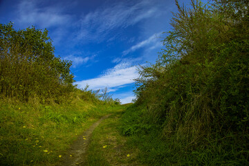 simple rural nature scenic view environment space with green foliage and blue sky of clear weather spring morning