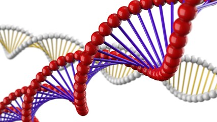 Science Molecular Color Painted DNA Model Structure under orange light. 3D illustration. 3D high quality rendering.