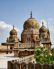 Fototapeta premium Indian palace with domes in Gujarat