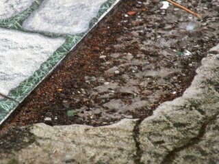rain in the floor 