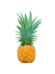 Large pineapple (Ananas comosus) isolated on white background.